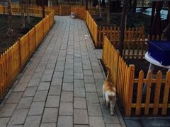 -草根堂农场
