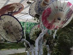 -上海鲜花港