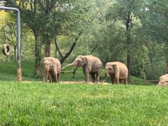 -北京野生动物园