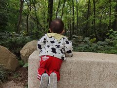-杭州少年儿童公园