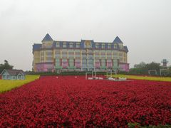 -百万葵园