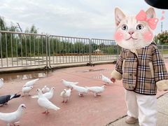 -华夏文旅海洋公园