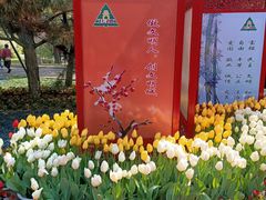 -北陵公园