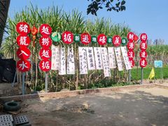 -新地休闲农场