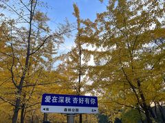 -森林公园(尖草坪区)