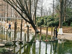 -祥源·阜阳生态乐园