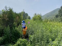 -白河湾生态旅游一条川