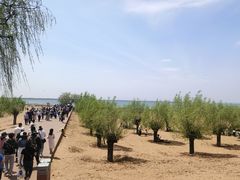-红碱淖景区