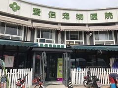 -爱侣宠医·鹦鹉专科·小型哺乳类·异宠专科(灵石路店)