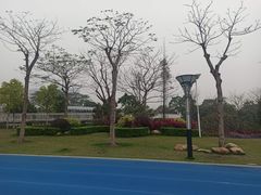 -文华公园(禅城区)