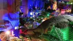 -恐龙探索乐园(磁器口店)