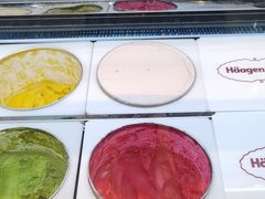 -哈根达斯(虹口店)