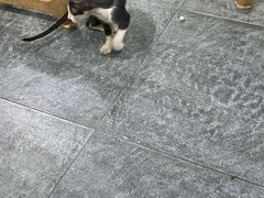 -江南红鱼汤(洋中花园店)