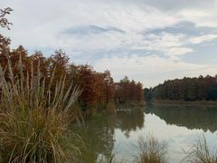 -梁鸿国家湿地公园