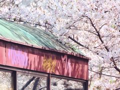 -新天地活力PARK