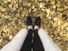-千年银杏谷文化旅游区