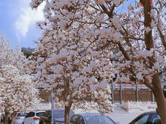 -国家图书馆·古籍馆