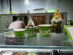 -Salud撒露欧洲冻酸奶(北苑上品店)