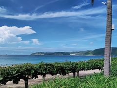 -三亚亚龙湾天域度假酒店