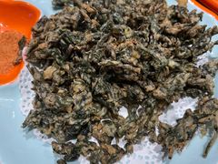 -向外鱼乐·土菜·虹鳟鱼