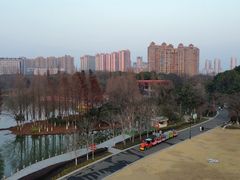 -青枫公园