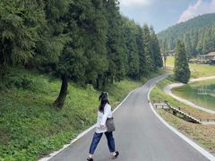 -武陵山森林公园