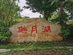 -映月湖公园