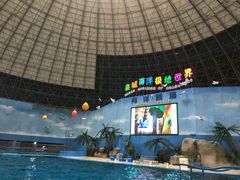 -泉城欧乐堡海洋极地世界