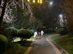 -七彩云南古滇温泉山庄