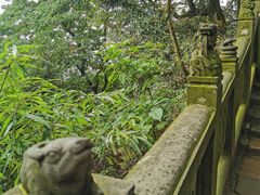 -青城山