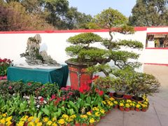 -南山植物园