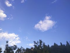-水上人家民俗餐厅(洱海公园店)