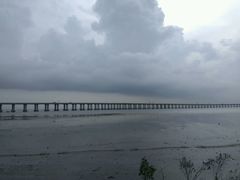 -宝安西湾红树林湿地公园