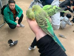 -呀路古热带植物园