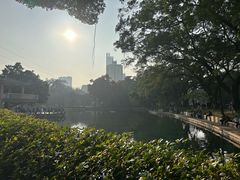 -晓港公园