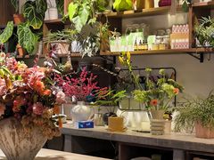 -自由生长植物工作室(深港花卉中心店)