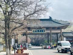-金龙寺国家森林公园