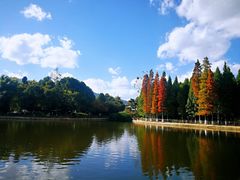 景点-云南民族村