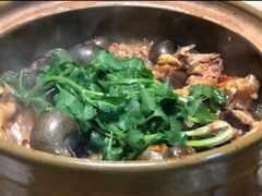 -食爺炭炉鸡煲·烧烤