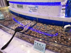 -澜悦港海鲜体验主题餐厅