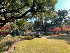 -申粤轩酒楼·三十年粤菜经典(丁香花园店)