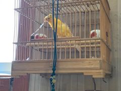 -Rabbit Cafe私房西餐甜点咖啡(栖霞路店)