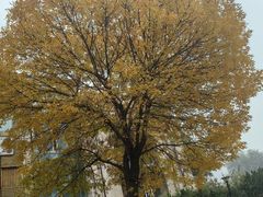 -食之六七·面(朝阳大悦城店)