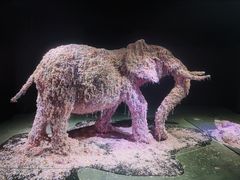 -成都许燎源现代设计艺术博物馆