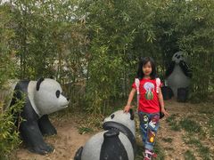-武清南湖绿博园