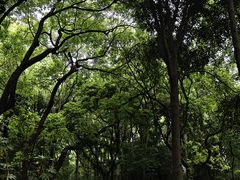-吴山景区