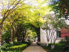 -上海市保健医疗中心(华东疗养院)
