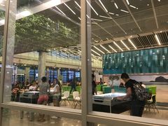 -西沃古尔·拉姆古兰爵士国际机场