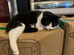 -路易时光(蕴川路店)