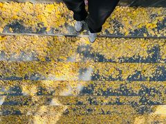 -南山风景名胜区